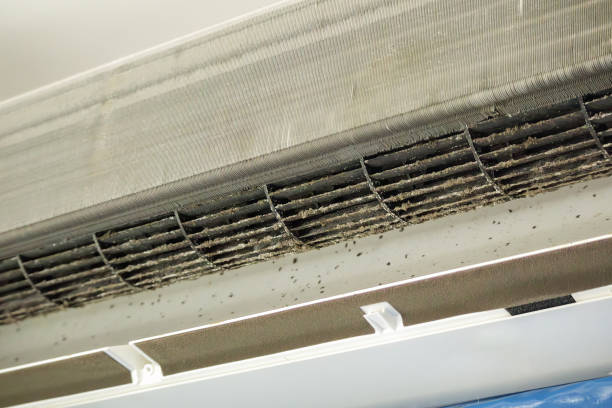 Best Best Air Duct Cleaning Company  in Lindstrom, MN